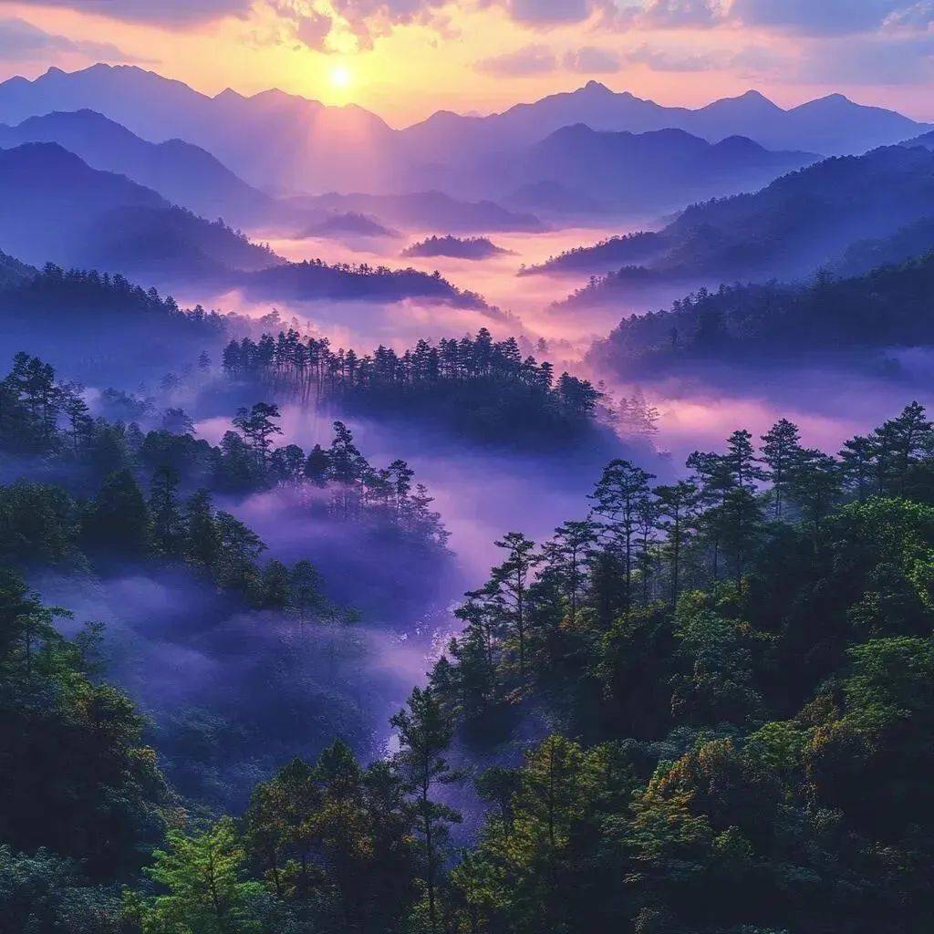 网友昵称：人间小团圆